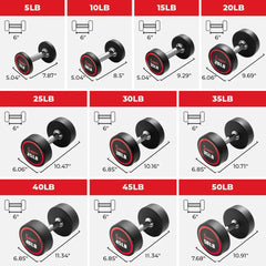 Sunny Health & Fitness Signature Style Polyurethane Round Dumbbell 10-Pound - SF-DB02-10